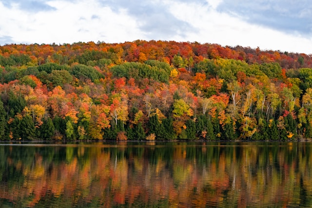 Maine foliage best places