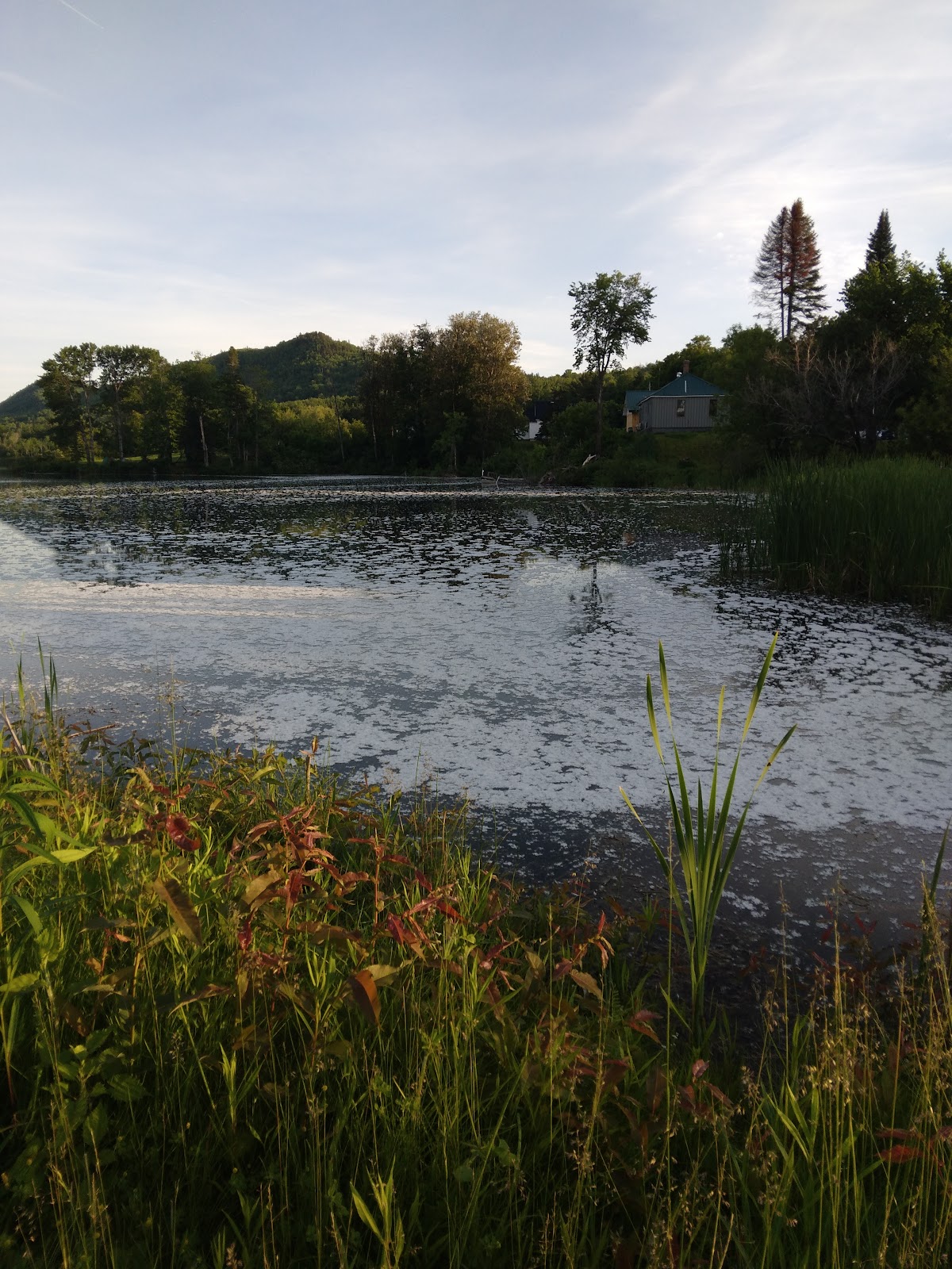 Things to do in Presque Isle, Maine