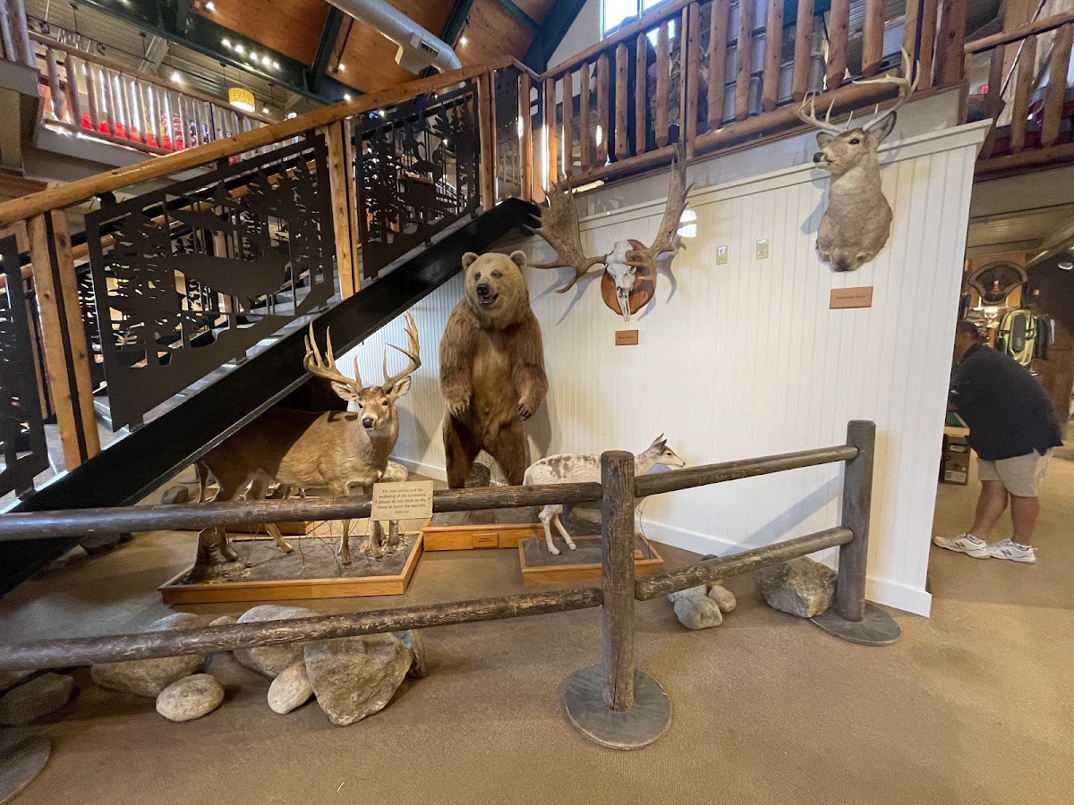 L.L. Bean flagship store Freeport Maine