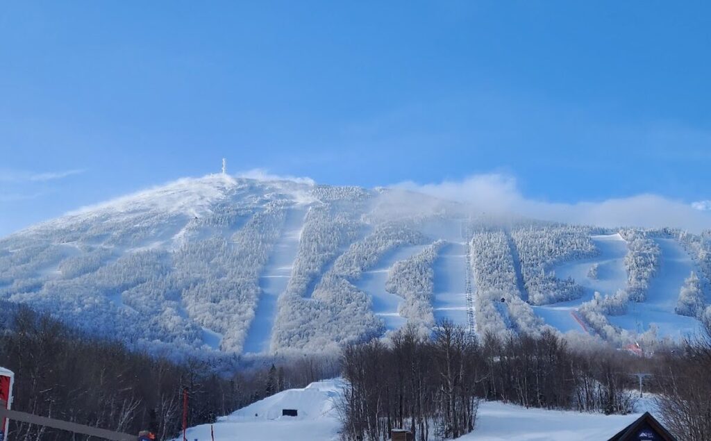 Sugarloaf or Saddleback - which to choose