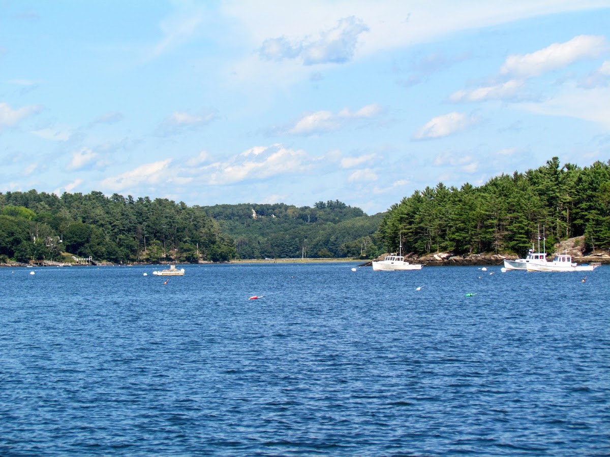 Wiscasset Maine Sheepscot River